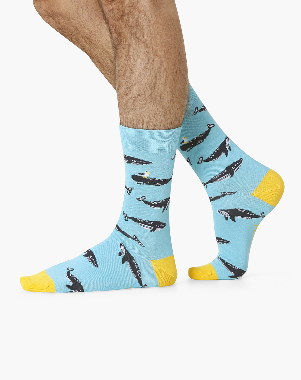 MENS MOBY DICK WHALE BAMBOO SOCK – Bamboozld